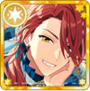 Card icon 1265.png
