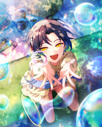 Card illust 1517.png