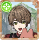 Card icon 1333.png