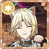 Card icon 1575.png