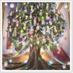 Home bg icon 157.png