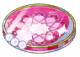 お祝い大皿（クロエ）.png