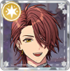 Card icon 1321.png