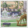 Bg icon 800108.png