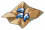 狮鹫的趾甲.png