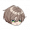 Minitalking icon rustica.png