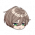 Minitalking icon rustica.png