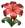 Item icon-10605.png