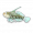 斑纹虾虎鱼图标.png