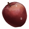 Clue 001 014.png