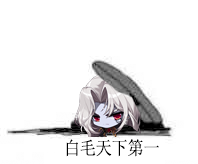 2.白毛天下第一.png