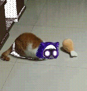 貓貓雞腿.gif