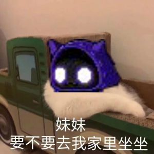 猫猫：妹妹要不要去我家里坐.jpg