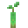 Invicon Mangrove Propagule.png：Minecraft中Mangrove Propagule的精灵图，链接到红树胎生苗，描述：红树胎生苗