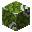 Invicon Green Glazed Terracotta.png：Minecraft中Green Glazed Terracotta的精灵图，链接到带釉陶瓦，描述：绿色带釉陶瓦