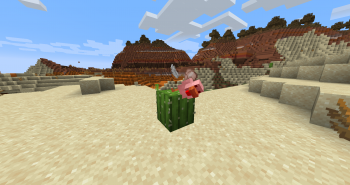 Chicken Death.png