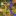 Pixel Genesis Cover.jpg