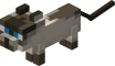 Baby Siamese Cat.png