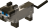Baby Siamese Cat.png