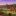 Soothing Farm Morning EP cover.jpg