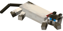 Lying down Siamese Cat with Red Collar.png