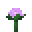 Paeonia (texture) TU1.png