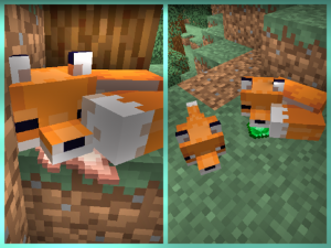 Foxes2.png