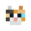 CalicoCatFace.png