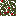 Mcdsctex leaves jungle.png
