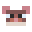 CinnamonFerretFace.png
