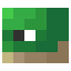 TurtleFace (Dungeons).png
