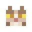 BrownTabbyFace.png