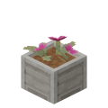 Mcd s3flower cactus.png