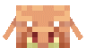 PiglinFace (Dungeons).gif