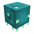 Baby Squid cosmetic.png