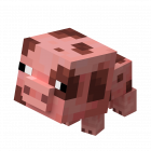 Spotted Baby Pig.png