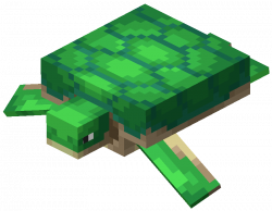Turtle (Dungeons).png
