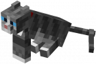 Grey Tabby (Dungeons).png