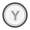 Y button