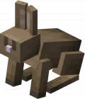 Brown Rabbit.png