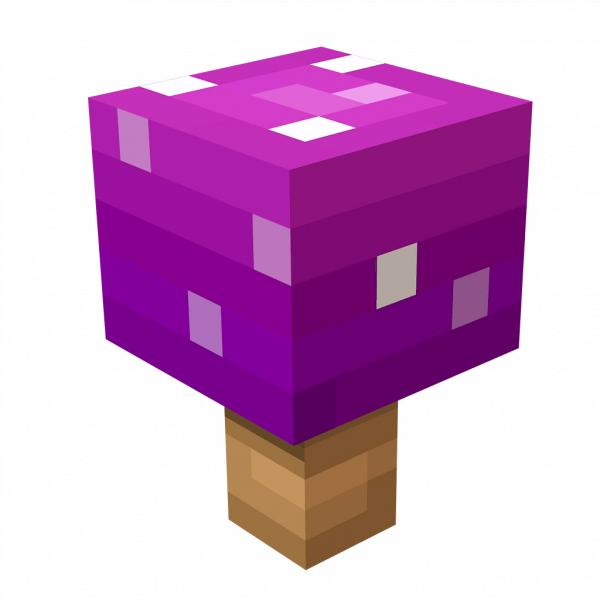 文件:Death Cap Mushroom (MCD).png