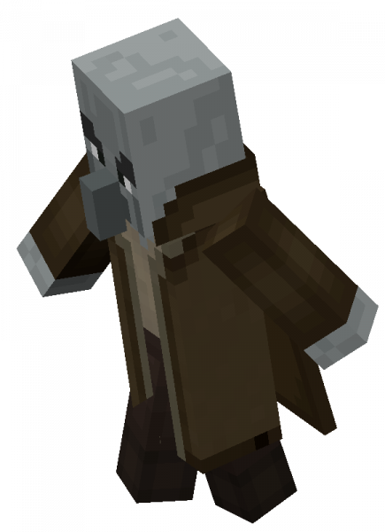 文件:Unidentified end illager.png