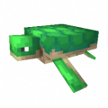 BabyTurtle Cosmetic.png