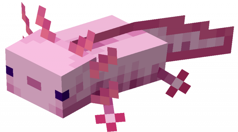 文件:Axolotl (Leucistic) (Dungeons).png