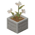 Mcd s3flower tall flower2.png