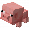 Baby Pig (Dungeons).png