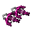 Baby Crossbows (MCD).png