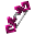 The Pink Scoundrel (MCD).png