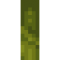 AbominationVine.png