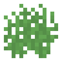 潘马斯农场（Pam's HarvestCraft）-海洋果园.png
